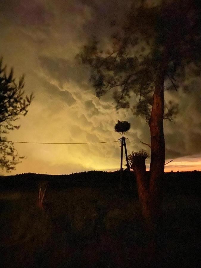 Pod Bocianim Gniazdem Villa Stary Folwark Dış mekan fotoğraf