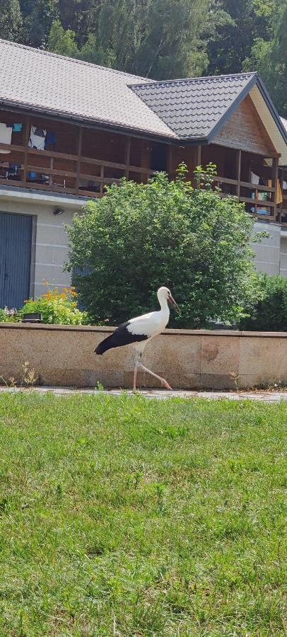Pod Bocianim Gniazdem Villa Stary Folwark Dış mekan fotoğraf